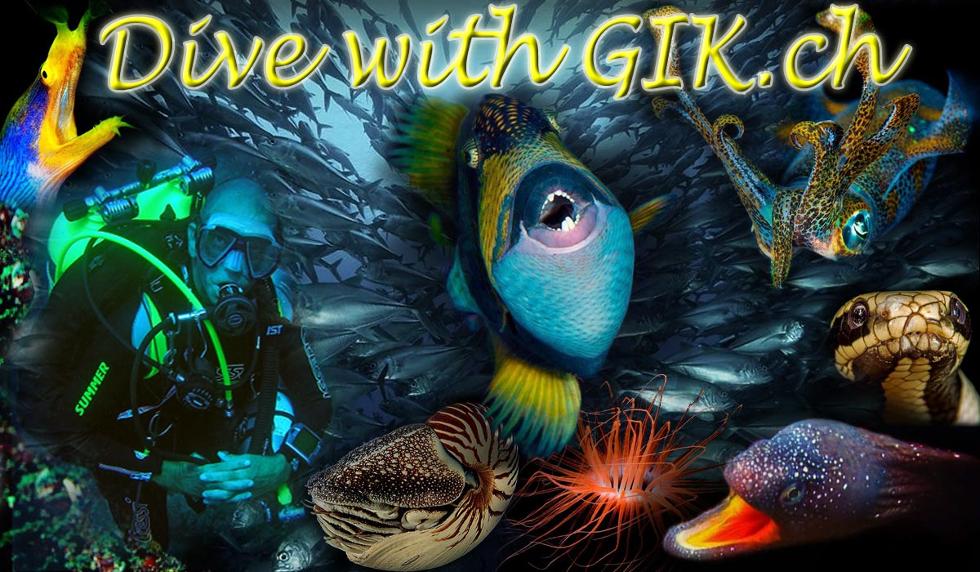 GIK-Dive-13