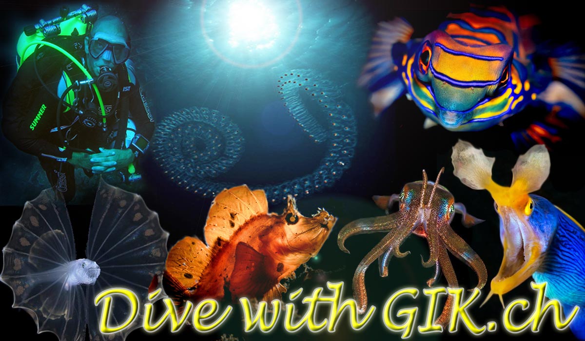 GIK-Dive-15