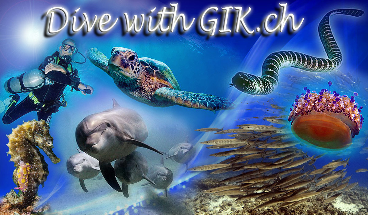 GIK-Dive-14