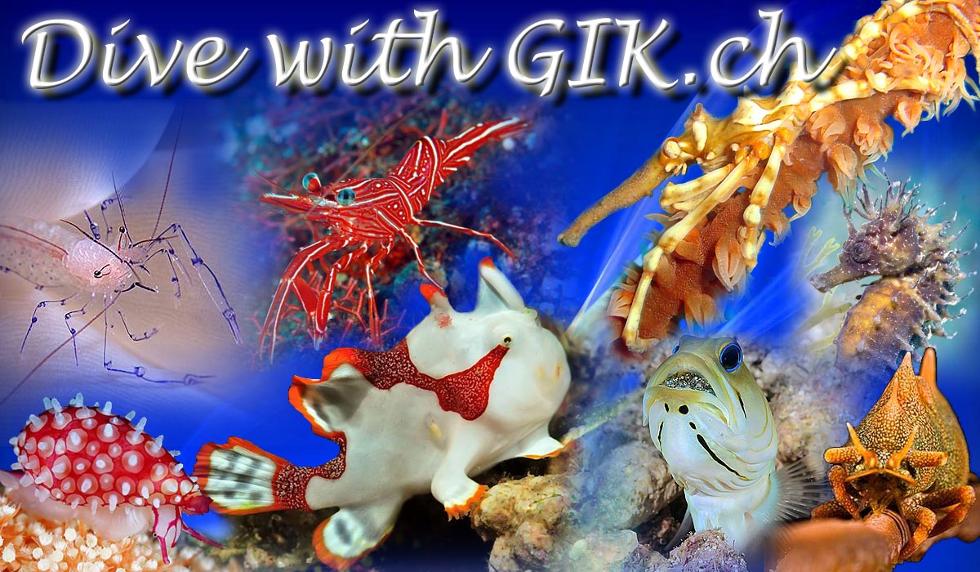 GIK-Dive-06