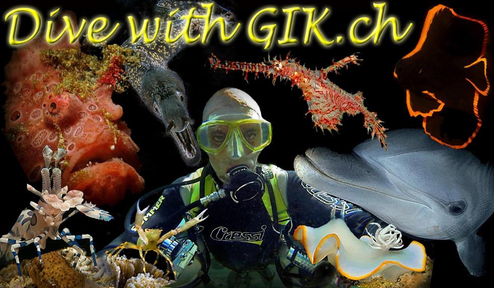 GIK-Dive-05
